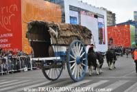 Desfile del Bicentenario