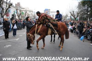 Homenaje al Gral. San Martín en La Matanza