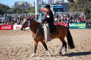 Aperos Regionales