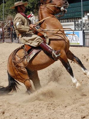 Nuestros Caballos 2009