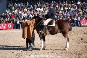 Caballos de Trabajo